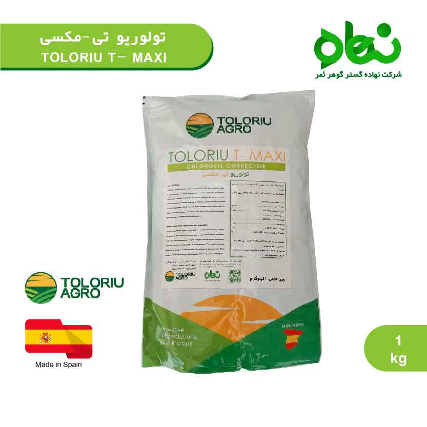 تولوریو تی - مکسی